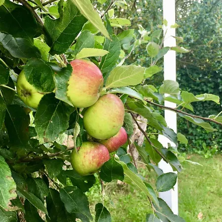 بيت للعطل The Beach House *